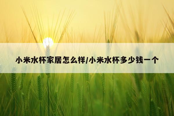 小米水杯家居怎么样/小米水杯多少钱一个