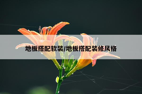 地板搭配软装/地板搭配装修风格