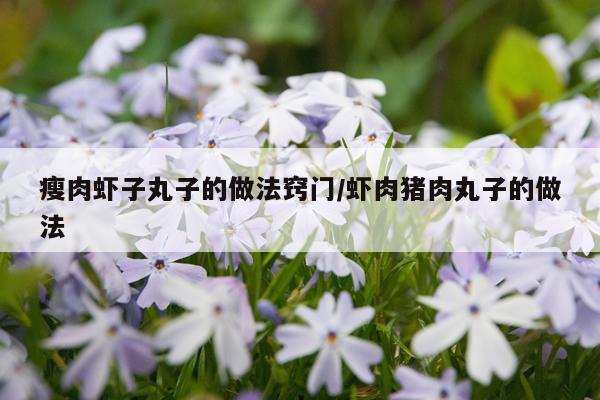 瘦肉虾子丸子的做法窍门/虾肉猪肉丸子的做法