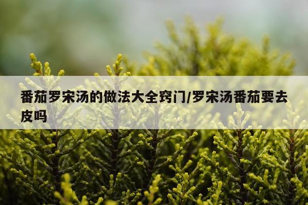 番茄罗宋汤的做法大全窍门/罗宋汤番茄要去皮吗
