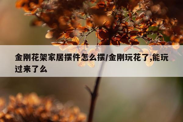 金刚花架家居摆件怎么摆/金刚玩花了,能玩过来了么