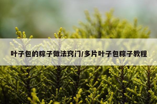 叶子包的粽子做法窍门/多片叶子包粽子教程