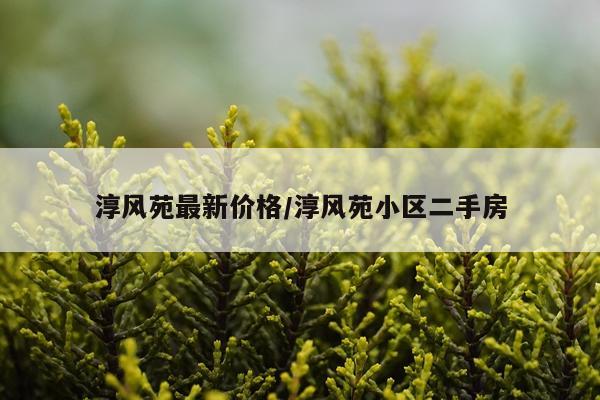 淳风苑最新价格/淳风苑小区二手房