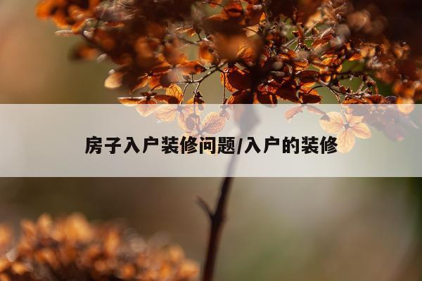 房子入户装修问题/入户的装修