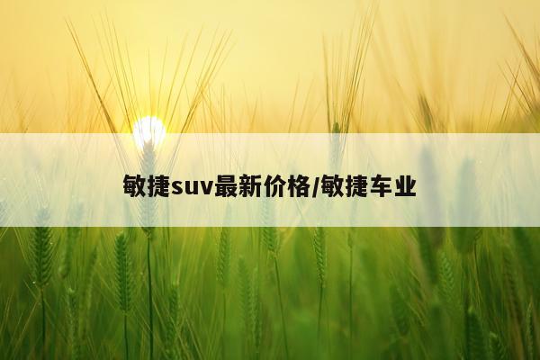 敏捷suv最新价格/敏捷车业