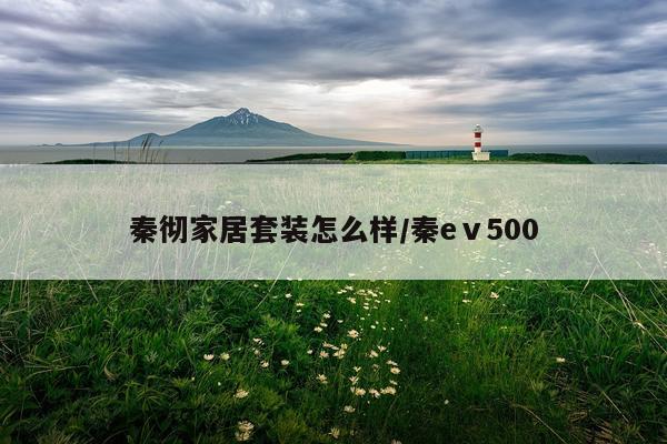 秦彻家居套装怎么样/秦eⅴ500