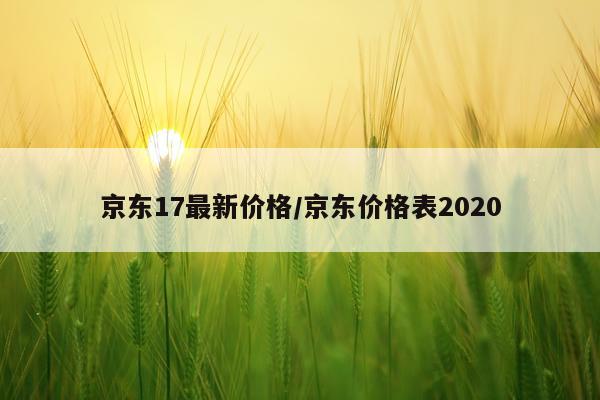 京东17最新价格/京东价格表2020