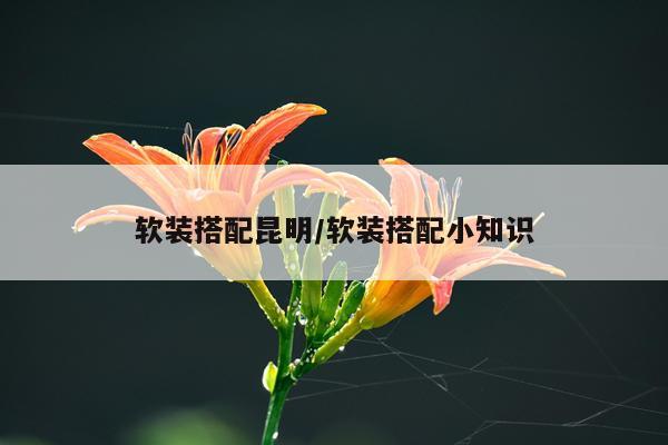 软装搭配昆明/软装搭配小知识