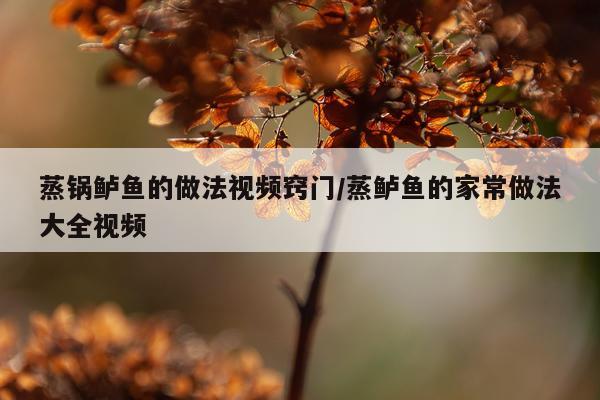 蒸锅鲈鱼的做法视频窍门/蒸鲈鱼的家常做法大全视频
