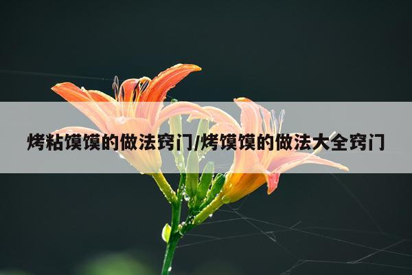 烤粘馍馍的做法窍门/烤馍馍的做法大全窍门