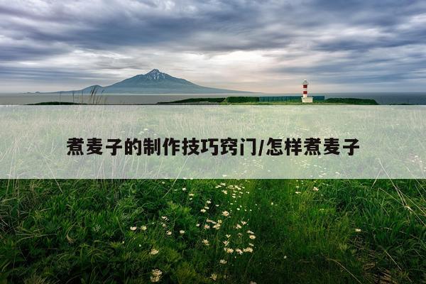 煮麦子的制作技巧窍门/怎样煮麦子