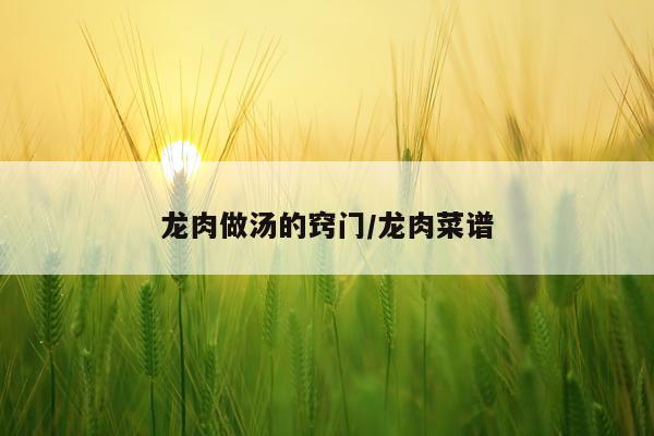 龙肉做汤的窍门/龙肉菜谱