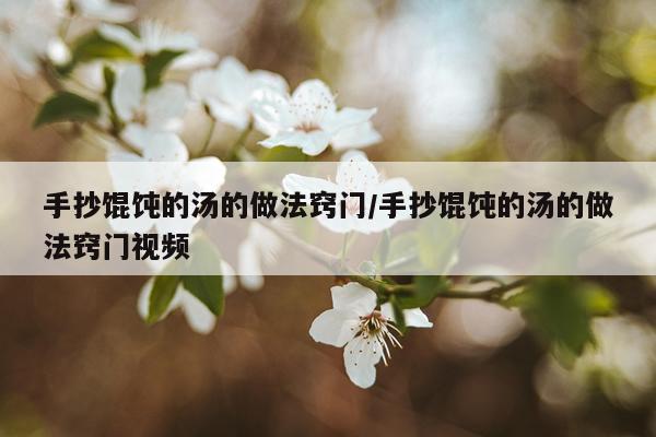 手抄馄饨的汤的做法窍门/手抄馄饨的汤的做法窍门视频