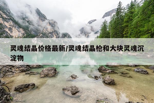 灵魂结晶价格最新/灵魂结晶枪和大块灵魂沉淀物