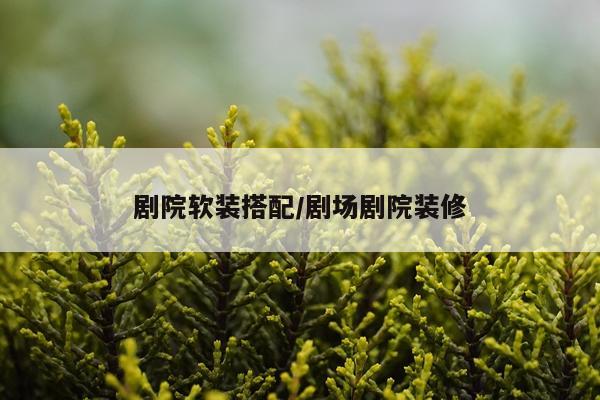 剧院软装搭配/剧场剧院装修