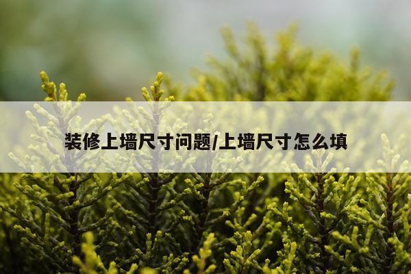 装修上墙尺寸问题/上墙尺寸怎么填