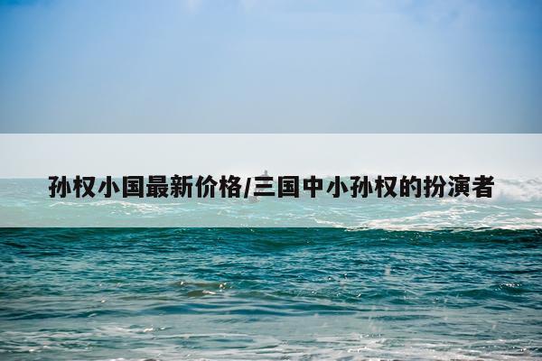 孙权小国最新价格/三国中小孙权的扮演者