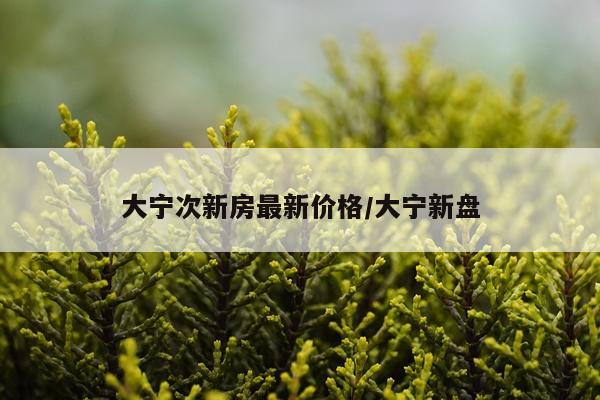 大宁次新房最新价格/大宁新盘
