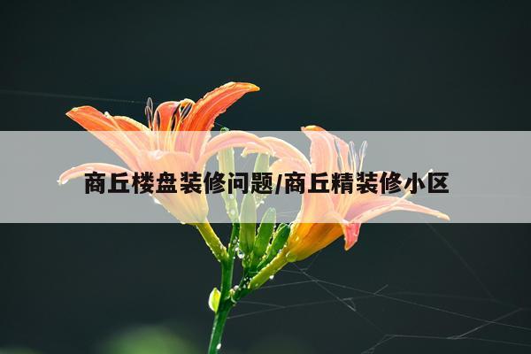 商丘楼盘装修问题/商丘精装修小区