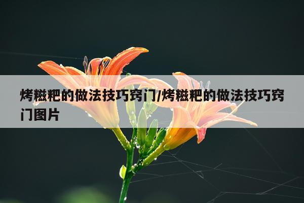 烤糍粑的做法技巧窍门/烤糍粑的做法技巧窍门图片