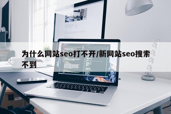 为什么网站seo打不开/新网站seo搜索不到
