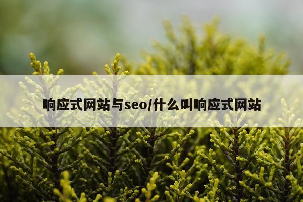响应式网站与seo/什么叫响应式网站