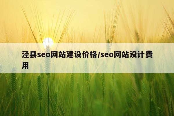 泾县seo网站建设价格/seo网站设计费用