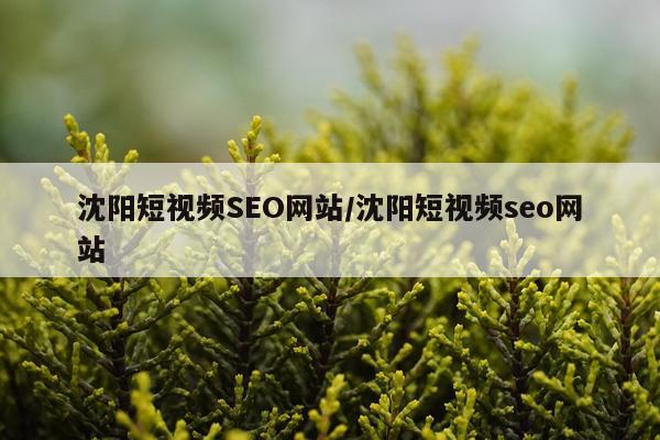 沈阳短视频SEO网站/沈阳短视频seo网站