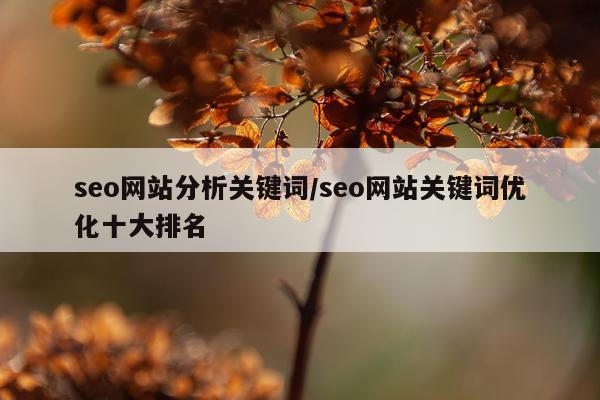 seo网站分析关键词/seo网站关键词优化十大排名
