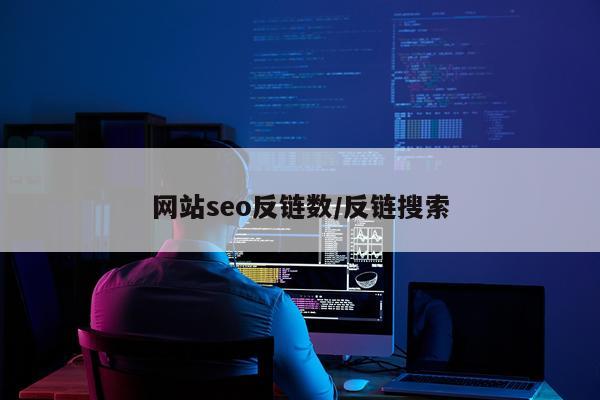 网站seo反链数/反链搜索