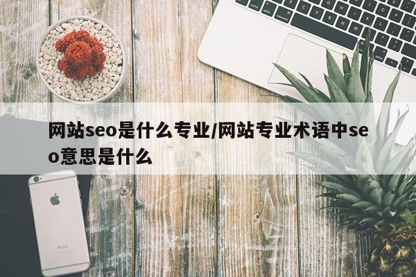 网站seo是什么专业/网站专业术语中seo意思是什么
