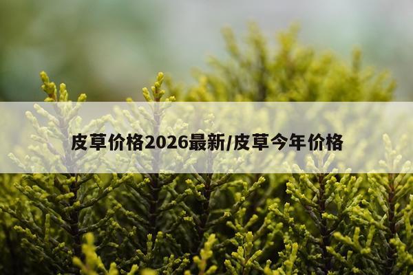 皮草价格2026最新/皮草今年价格