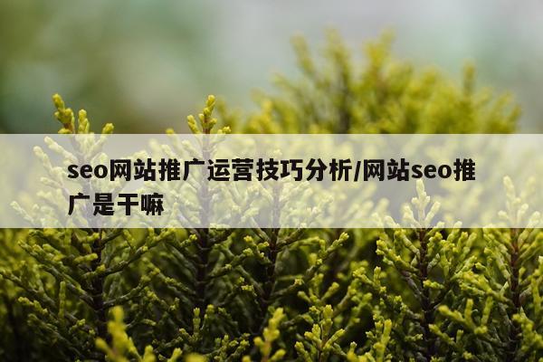 seo网站推广运营技巧分析/网站seo推广是干嘛