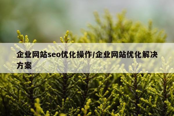 企业网站seo优化操作/企业网站优化解决方案