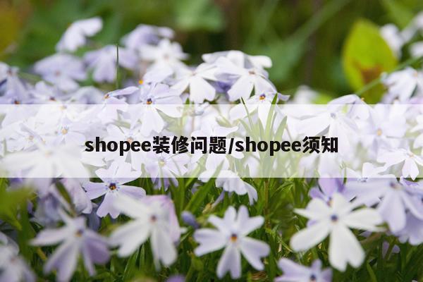 shopee装修问题/shopee须知