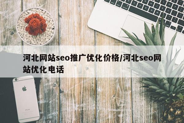 河北网站seo推广优化价格/河北seo网站优化电话