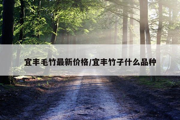 宜丰毛竹最新价格/宜丰竹子什么品种