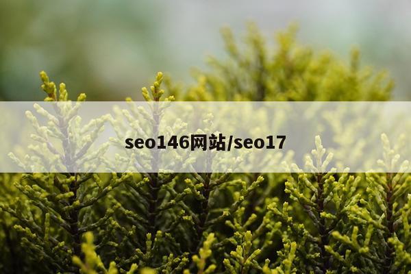 seo146网站/seo17