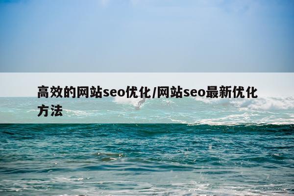 高效的网站seo优化/网站seo最新优化方法