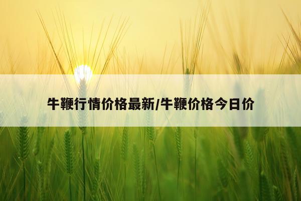 牛鞭行情价格最新/牛鞭价格今日价