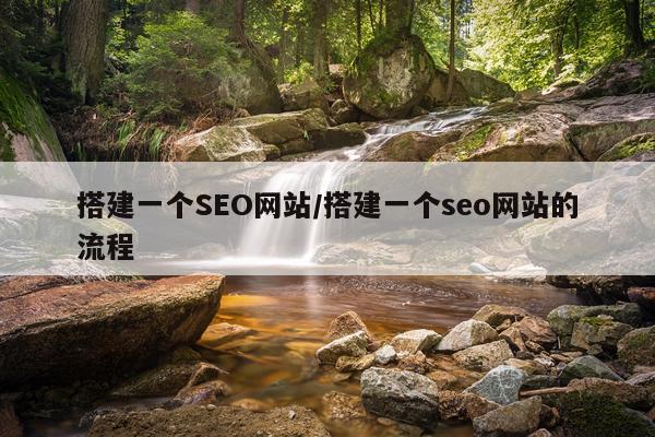 搭建一个SEO网站/搭建一个seo网站的流程