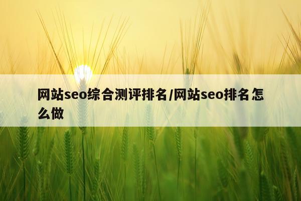 网站seo综合测评排名/网站seo排名怎么做