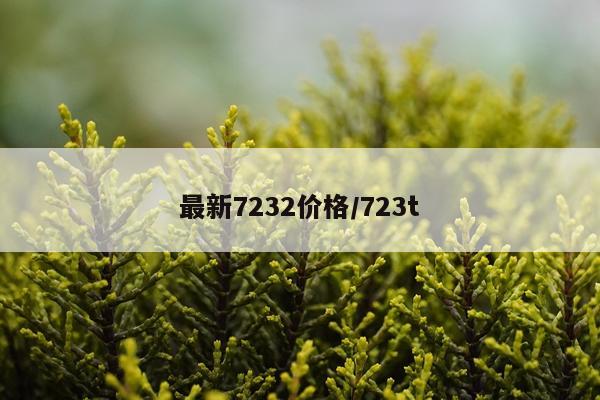 最新7232价格/723t