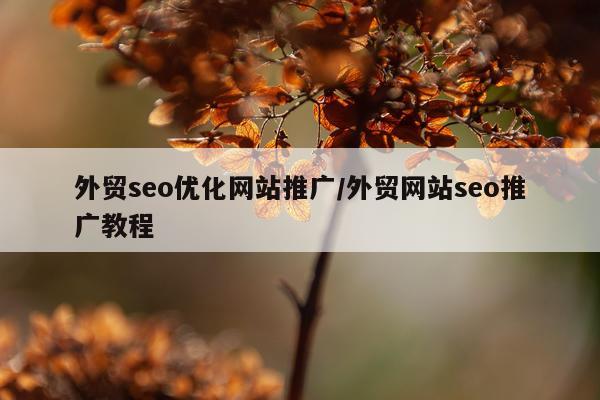 外贸seo优化网站推广/外贸网站seo推广教程