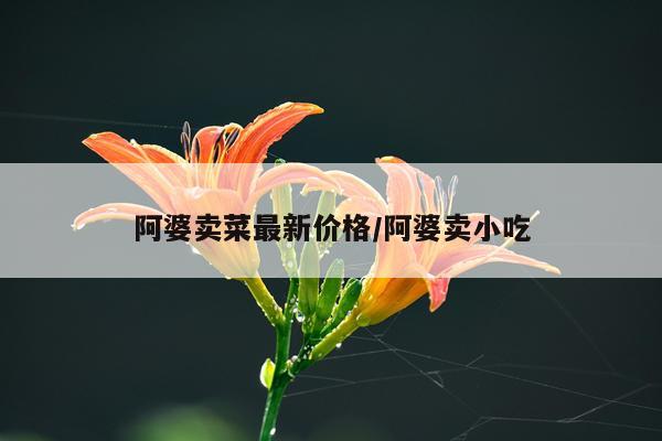 阿婆卖菜最新价格/阿婆卖小吃