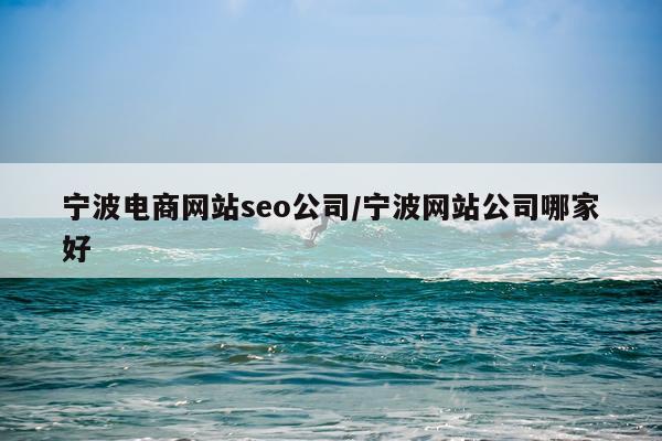 宁波电商网站seo公司/宁波网站公司哪家好