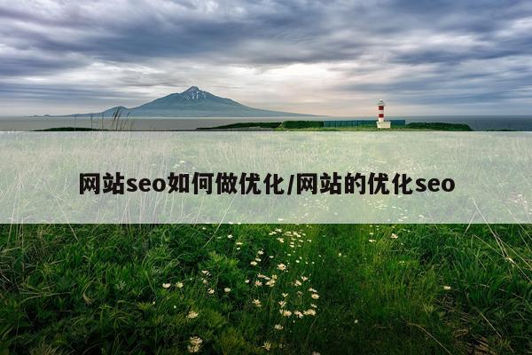 网站seo如何做优化/网站的优化seo