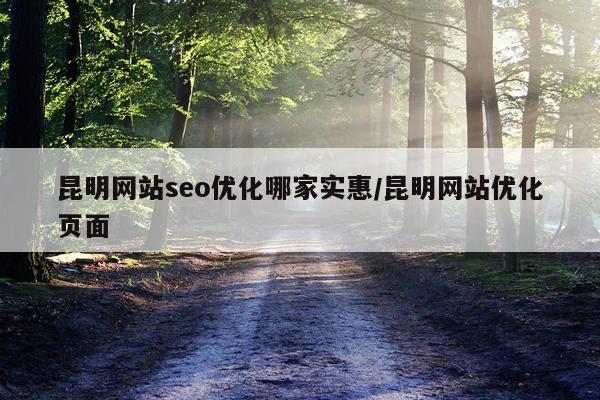 昆明网站seo优化哪家实惠/昆明网站优化页面