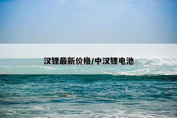 汉锂最新价格/中汉锂电池