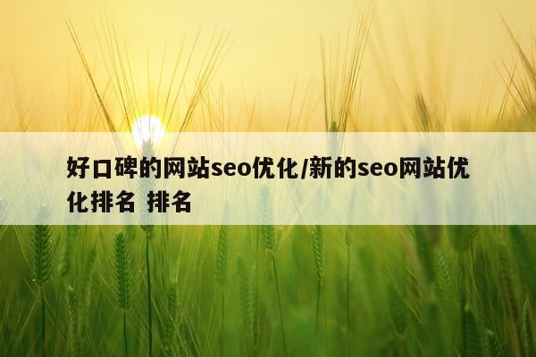 好口碑的网站seo优化/新的seo网站优化排名 排名